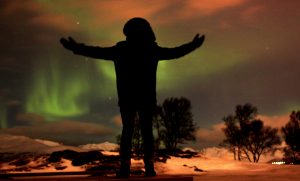 David Saul Fineberg Tromso, northern lights