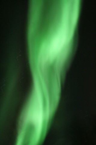 Aurora seen from Abisko, Sweden.  It looks a bit like an MRI scan of a knee.